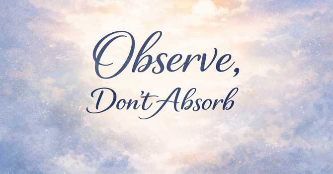 Observe, Don’t Absorb